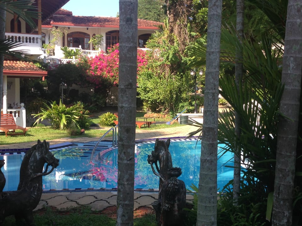 Außenansicht Ayubowan Swiss Lanka Bungalow Resort