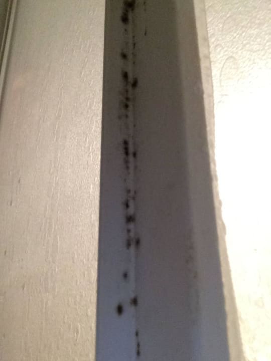 Schimmel an der Duschabtrennung Süral Saray Hotel