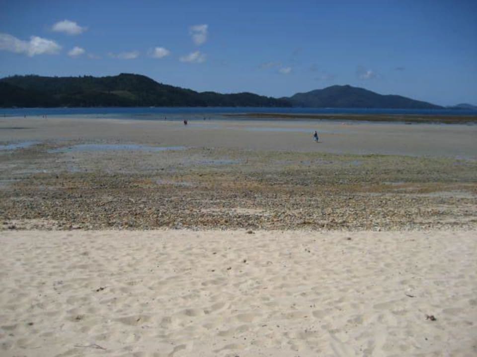 Blick vom Strand aufs Meer Hotel Hamilton Island Reef View