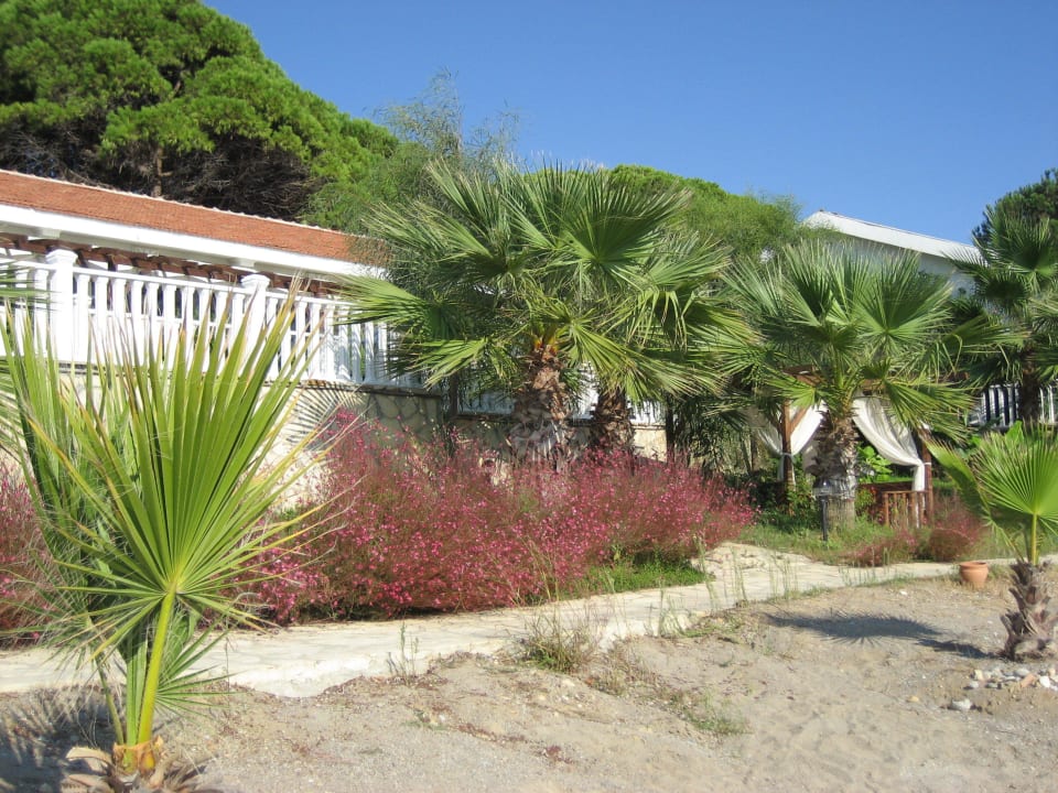 Deluxezimmer von außen Flora Garden Beach Hotel ( 16+ Adults Only )