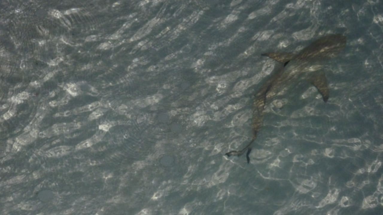 Minihai am Strand Adaaran Club Rannalhi - All Inclusive