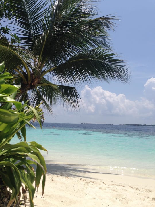 Ausblick Bungalow Vilamendhoo Island Resort & Spa