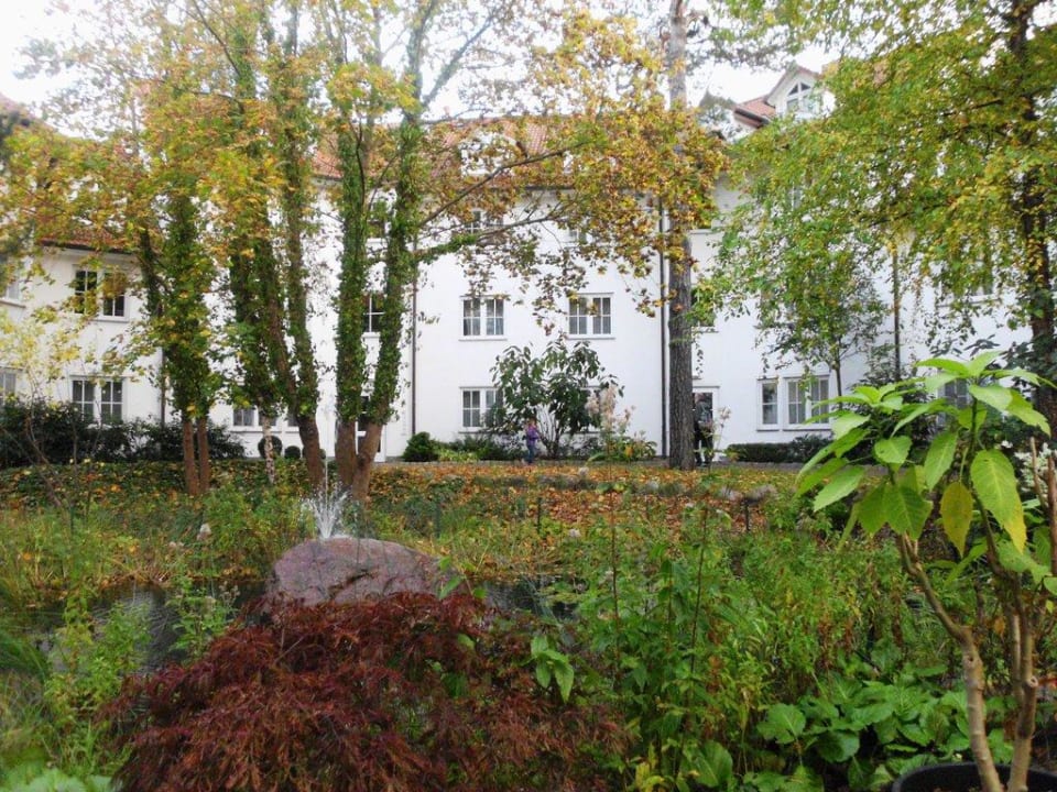 Außenanlage Feriendomizil Hotel Binz Feriendomizil