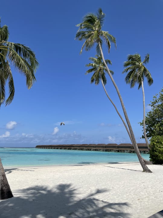 Strand Meeru Maldives Resort Island