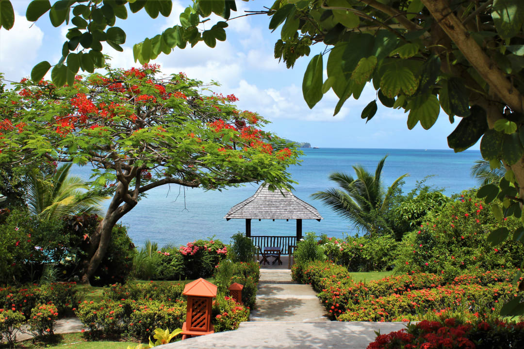 Gartenanlage Calabash Cove Resort & Spa