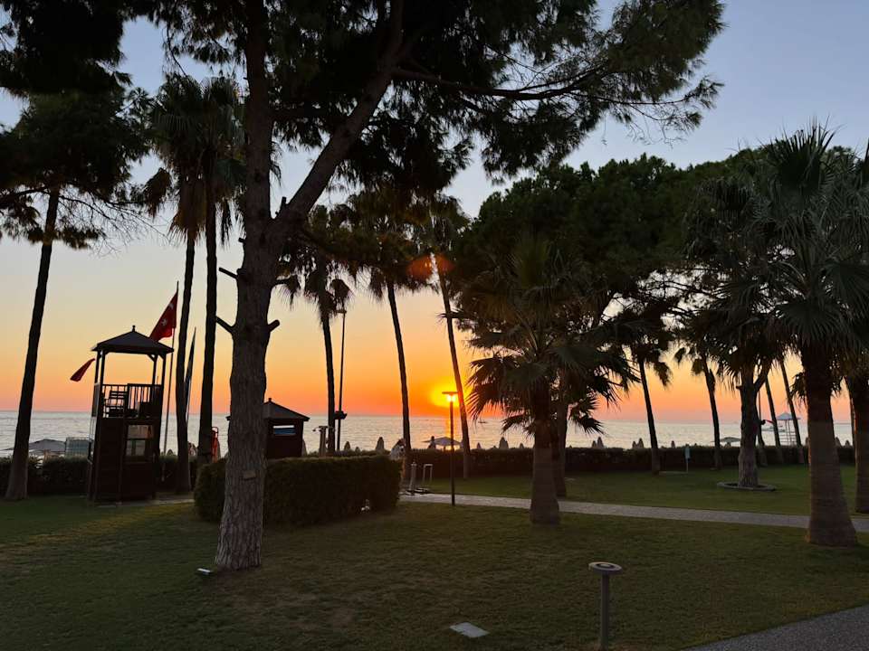 Gartenanlage Acanthus Cennet Barut Collection