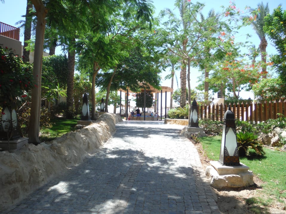 Restaurant Makadi Spa - Adults only