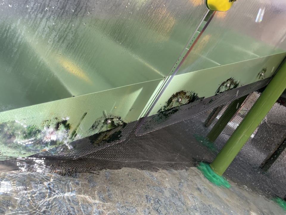 Pool Center Parcs Park Bostalsee