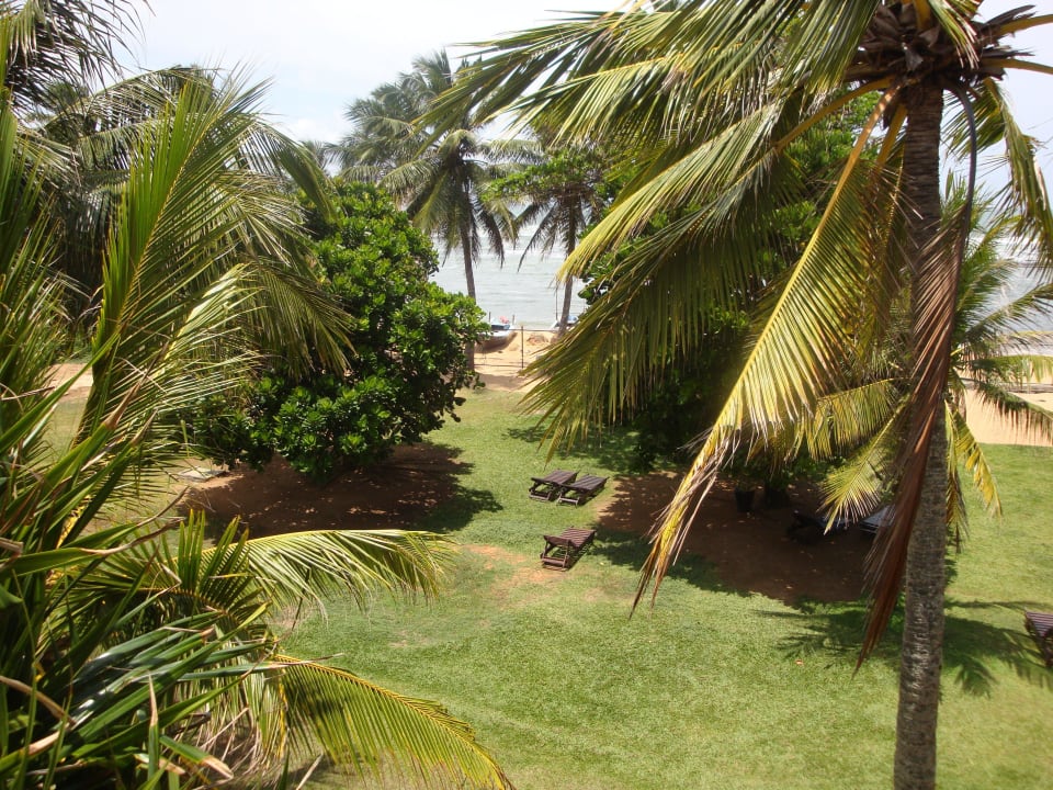 Garten Earl’s Reef Beruwala