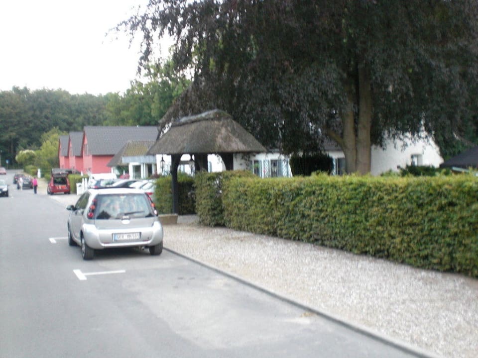 Umgebung des Hotels Hotel Walbrecht