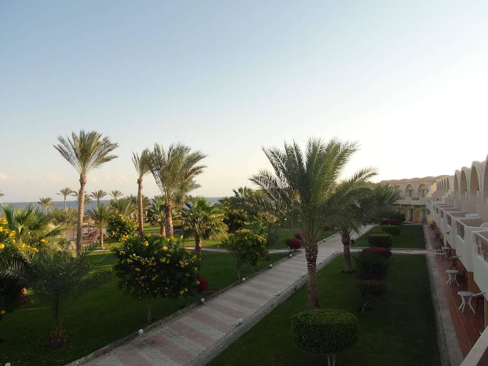 Ogród Three Corners Sea Beach Resort