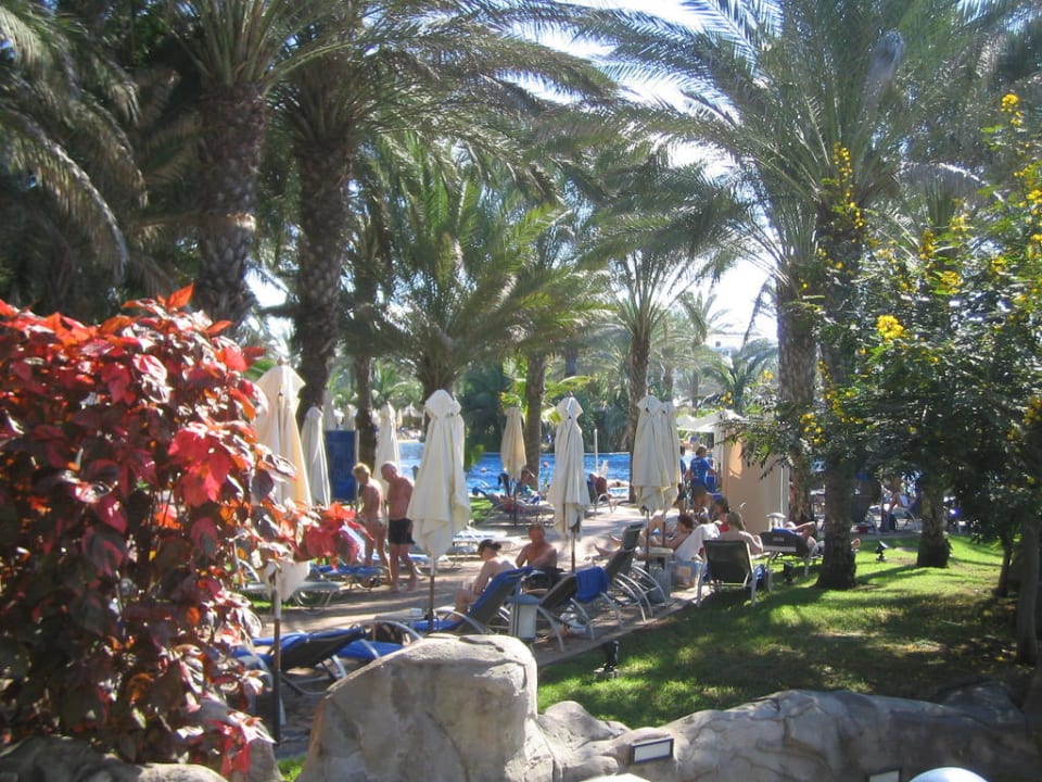 Rio Pool Lopesan Costa Meloneras, Resort & Spa