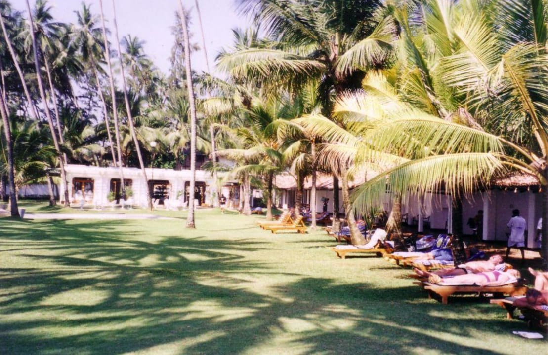 Hotel Thaala Bentota