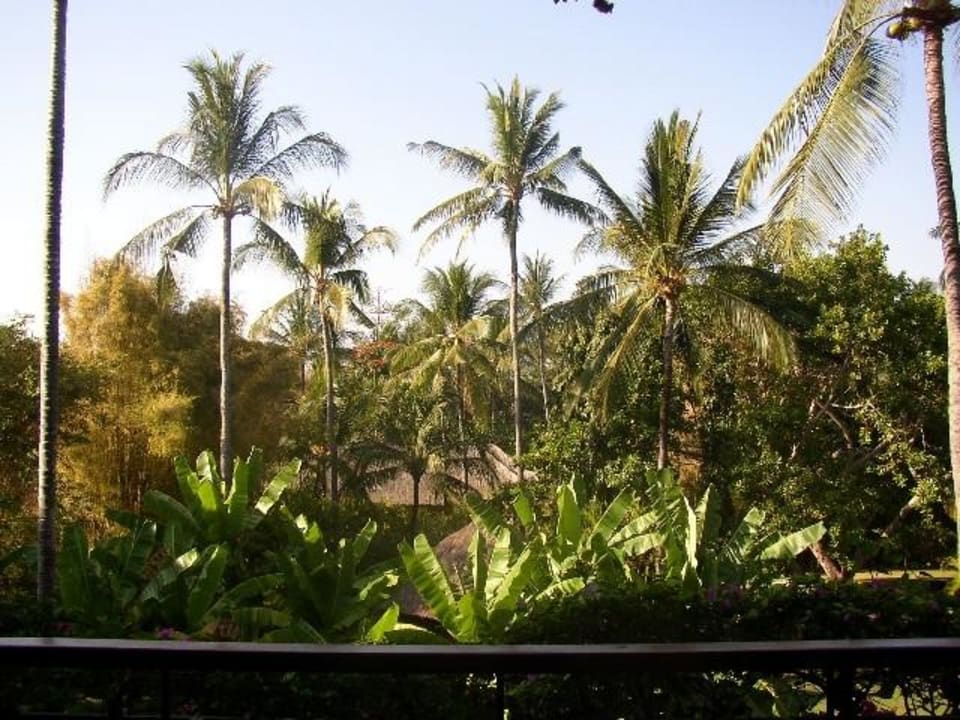 Blick aus dem Zimmer Paradisus by Melia Bali