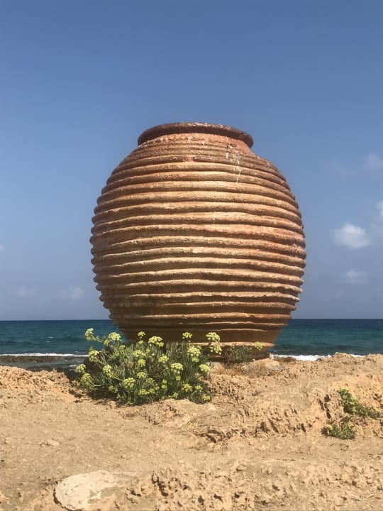 Strand allsun Hotel Carolina Mare