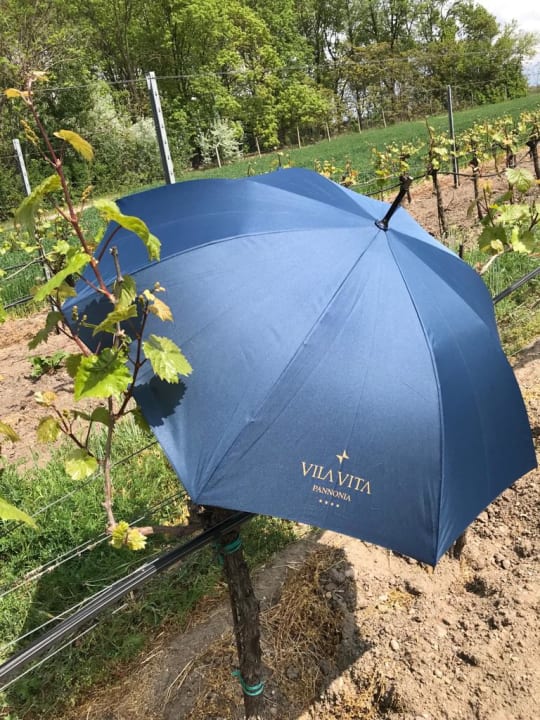 Gartenanlage Hotel VILA VITA Pannonia