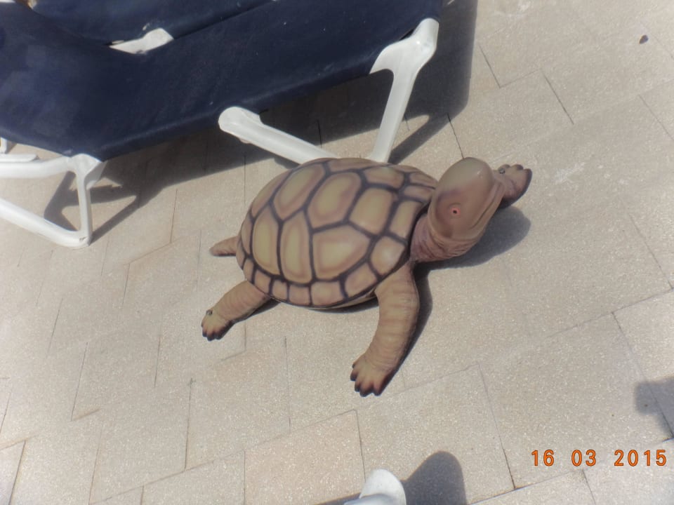 Hotel Grand Palladium Bávaro Suites Resort & Spa Grand Palladium Select Bávaro Resort & Spa