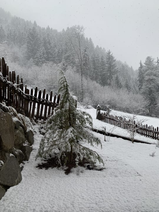 Ausblick Das Kaltenbach Aparthotel