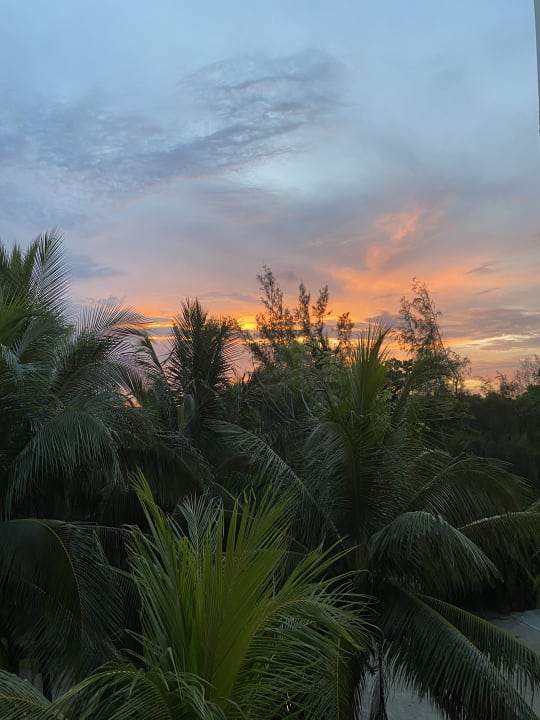 Gartenanlage Akumal Bay Beach & Wellness Resort