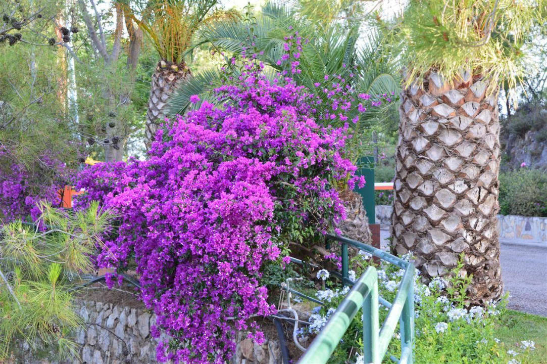 Schön Hillside Beach Club