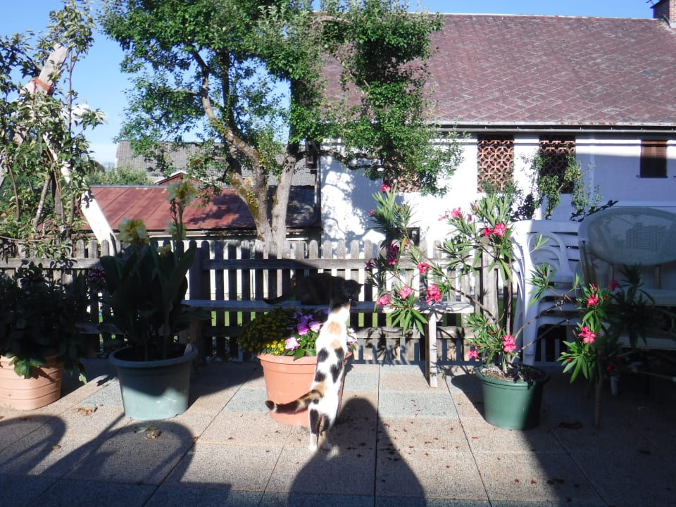 Sonstiges Hotel Beim Winkler