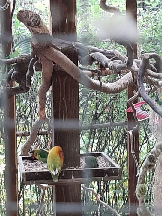 Sonstiges Kurhotel Pawlik - Aquaforum