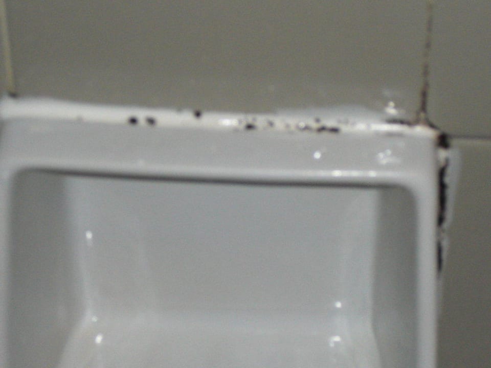 Schimmel Hotel Vibra Beverly Playa