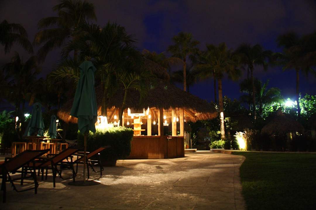 Poolbar Hotel Palms on the Ocean