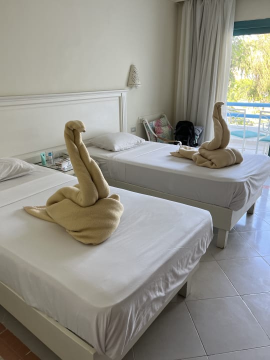 Zimmer Shams Safaga Resort