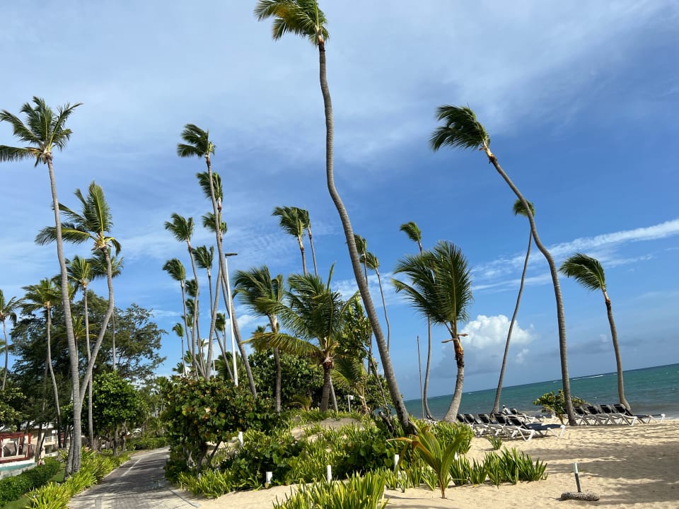 Strand Grand Palladium Select Bávaro Resort & Spa