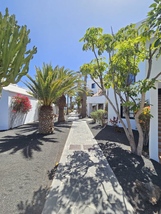 Außenansicht allsun App.-Hotel Albatros