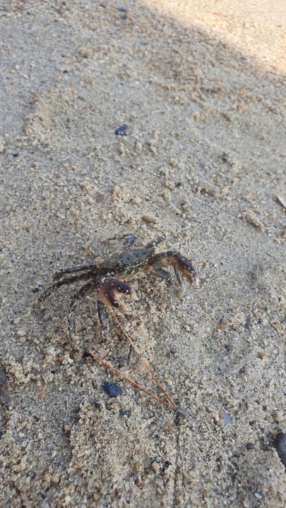 Strand Green Bay Resort & Spa