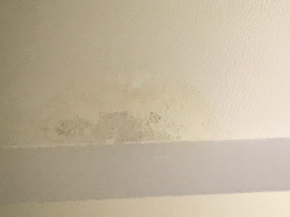 Zimmer Flora Maria Hotel & Annex