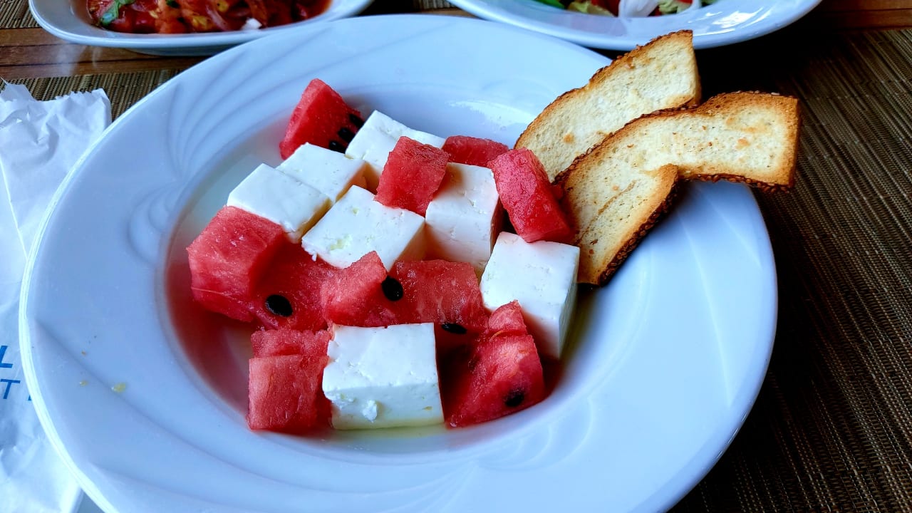 Gastro Paloma Oceana