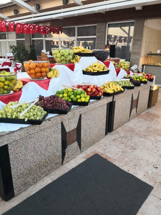 Gastro Papillon Belvil