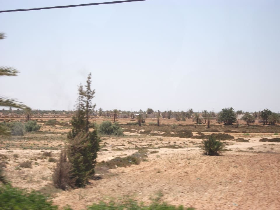 Trockenes Land Djerba Castille