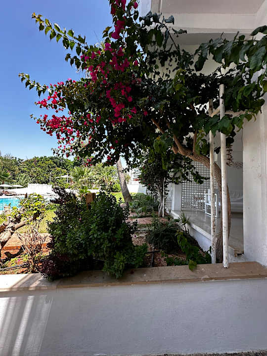 Gartenanlage Hotel Grecian Sands