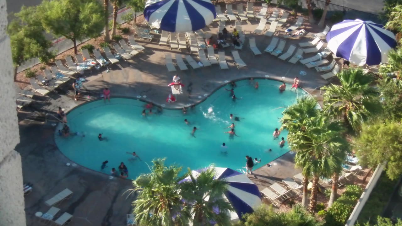 Blick vom Hotelzimmer- einer von zwei Pools Hotel Circus Circus