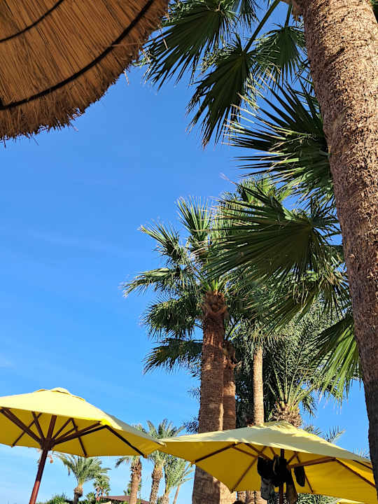 Gartenanlage Sahara Beach Aquapark & Resort