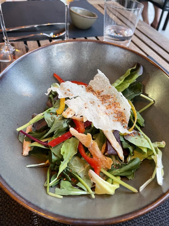 Gastro Arum Barut Collection