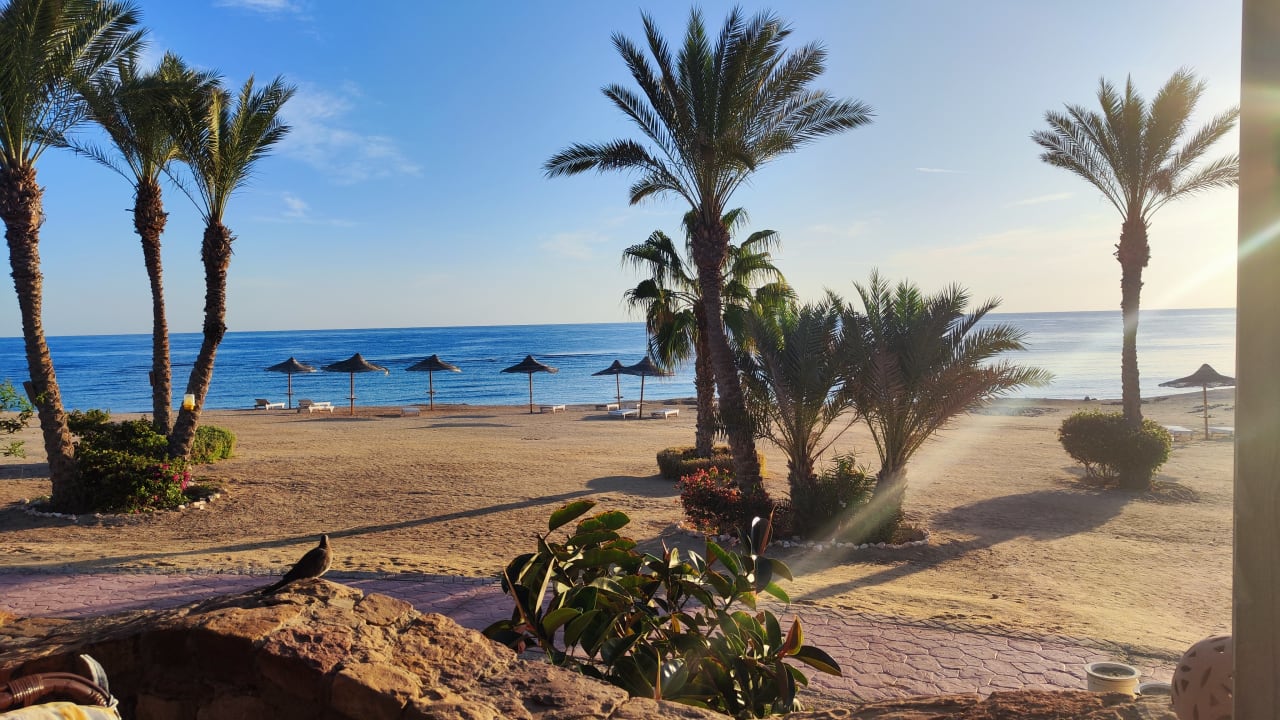 Gastro Wadi Lahmy Azur Resort