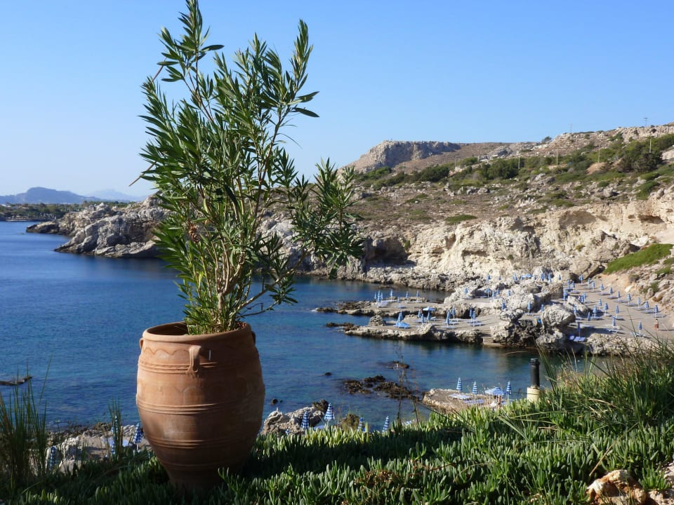 Blickfang beim Spaziergang Hotel Kalithea Horizon Royal