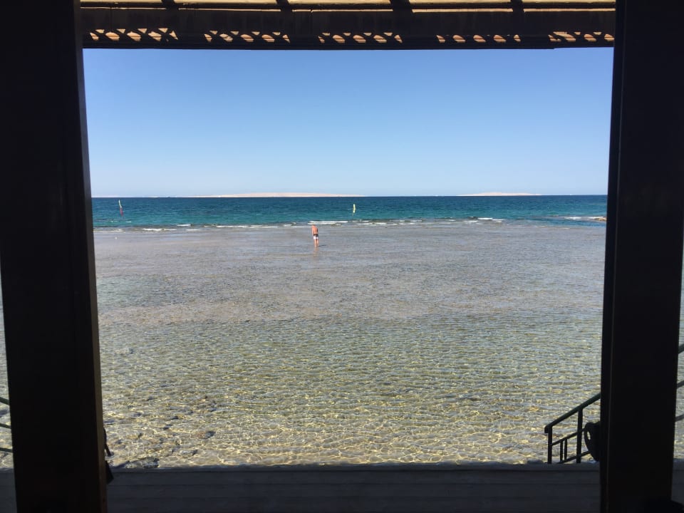 Außenansicht Desert Rose