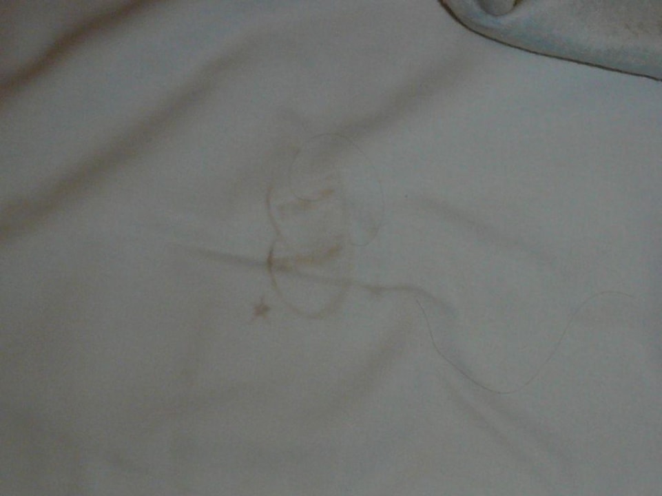 Schmiere auf dem Bett Hotel Edén Palma Playa - Adults Only