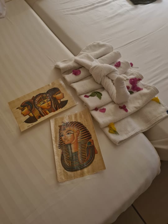 Zimmer Hotel JAZ Makadi Star & Spa