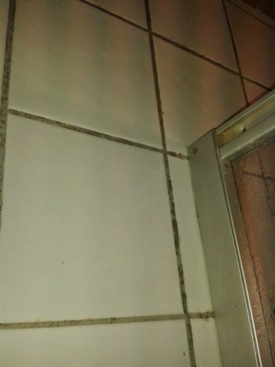 Duschkabine - unsauber, unhygienisch und eklig! Gasthof Naturfreundehaus Am Hahnenschnabel