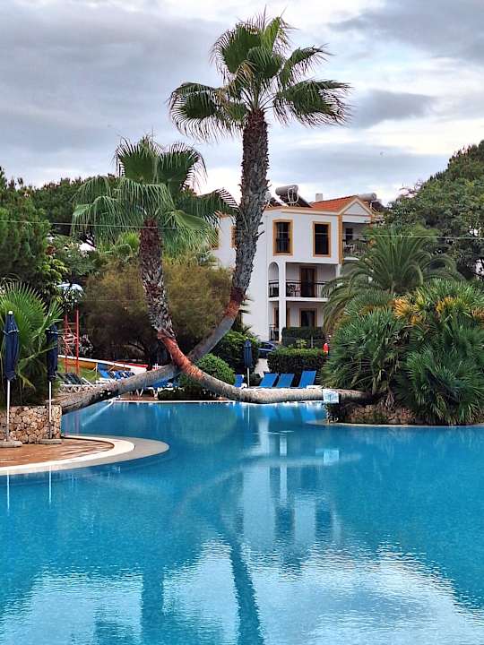 Pool Alfagar Village