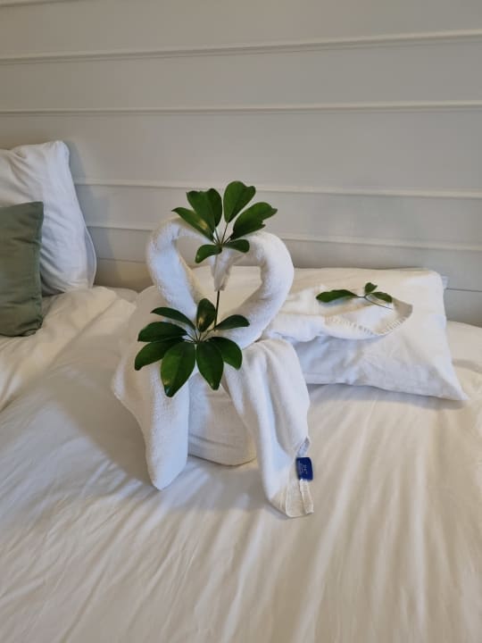 Zimmer Sentido Trendy Verbena Beach