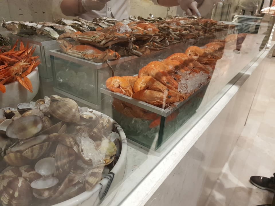 Gastro Acanthus Cennet Barut Collection