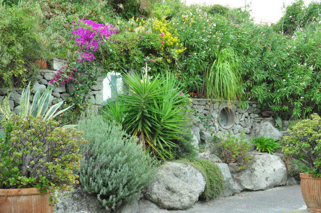 Gartenanlage Hotel Paradiso Terme Resort & SPA